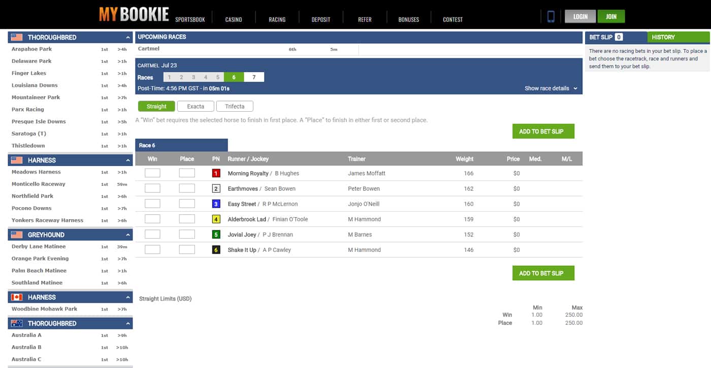 MyBookie Racing Screenshot