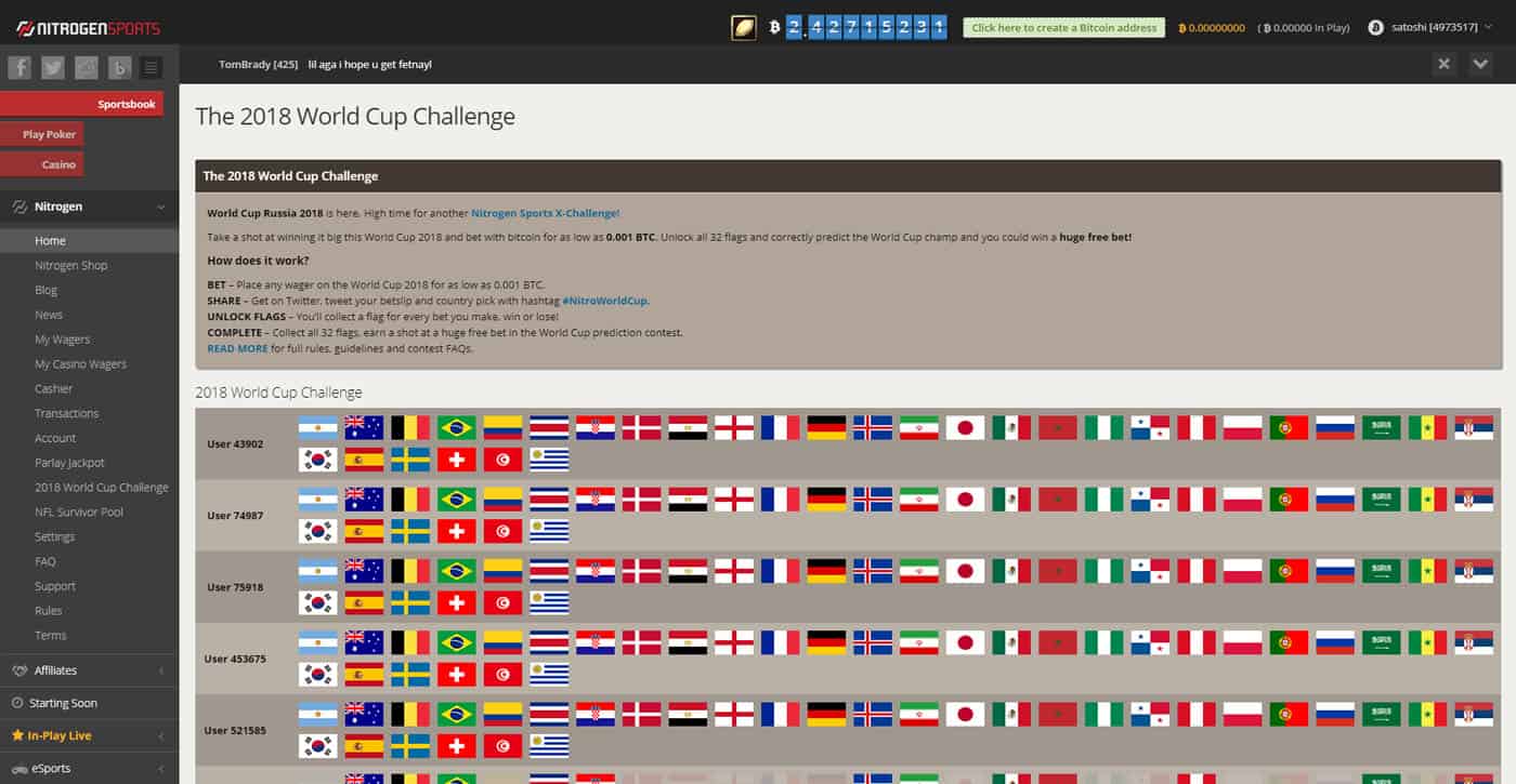 Nitrogen World Cup Challenge Screenshot
