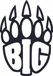 BIG Logo