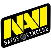 Natus Vincere Logo